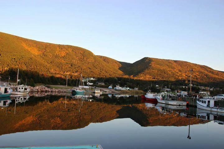 Burton'S Sunset Oasis Motel Bay Saint Lawrence Luaran gambar