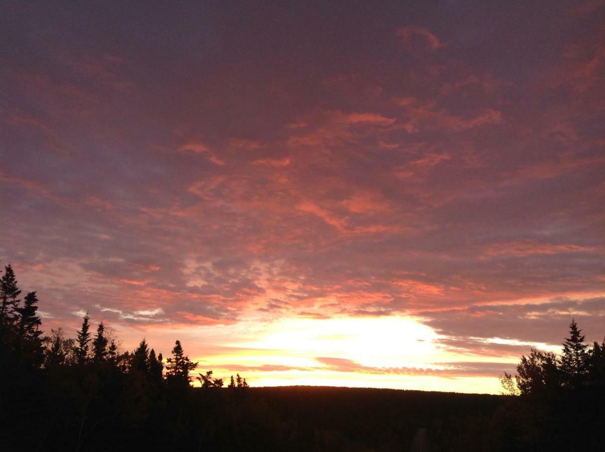 Burton'S Sunset Oasis Motel Bay Saint Lawrence Luaran gambar